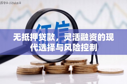 巴塘无抵押贷款，灵活融资的现代选择与风险控制