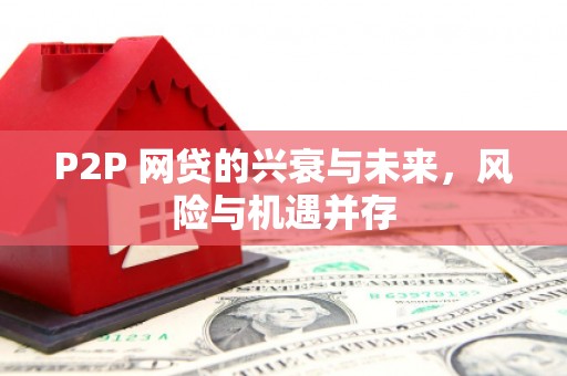 巴塘P2P 网贷的兴衰与未来，风险与机遇并存