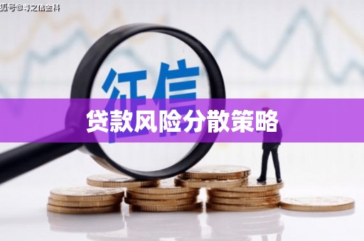 巴塘贷款风险分散策略