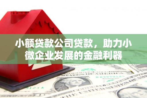 巴塘小额贷款公司贷款，助力小微企业发展的金融利器