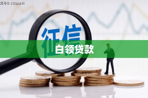 巴塘白领贷款