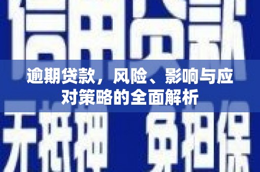 巴塘逾期贷款，风险、影响与应对策略的全面解析