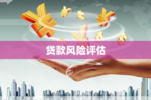 巴塘贷款风险评估