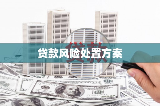 巴塘贷款风险处置方案