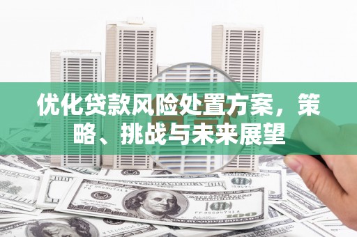 巴塘优化贷款风险处置方案，策略、挑战与未来展望