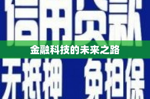 巴塘金融科技的未来之路