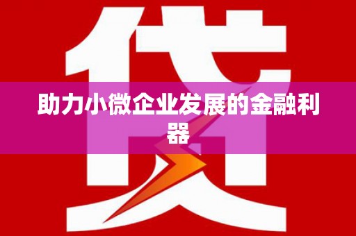 巴塘助力小微企业发展的金融利器