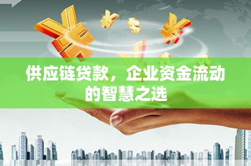 巴塘供应链贷款，企业资金流动的智慧之选