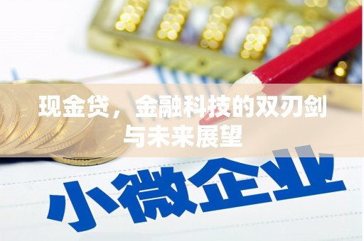 巴塘现金贷，金融科技的双刃剑与未来展望