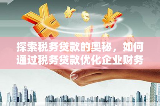巴塘探索税务贷款的奥秘，如何通过税务贷款优化企业财务