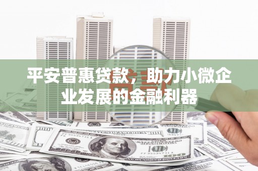 巴塘平安普惠贷款，助力小微企业发展的金融利器