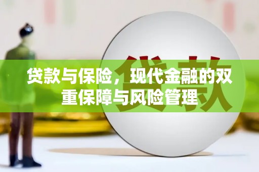 巴塘贷款与保险，现代金融的双重保障与风险管理