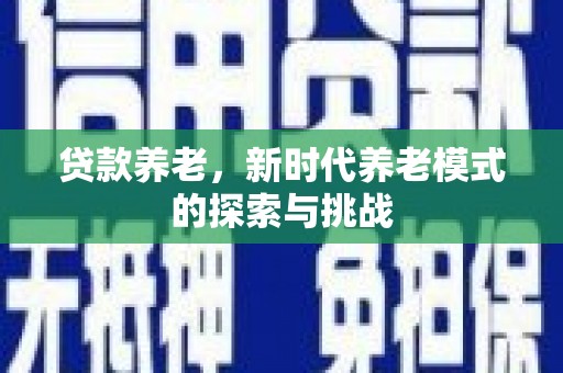 巴塘贷款养老，新时代养老模式的探索与挑战