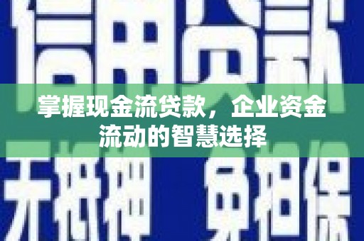 巴塘掌握现金流贷款，企业资金流动的智慧选择