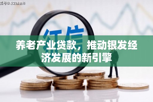 巴塘养老产业贷款，推动银发经济发展的新引擎