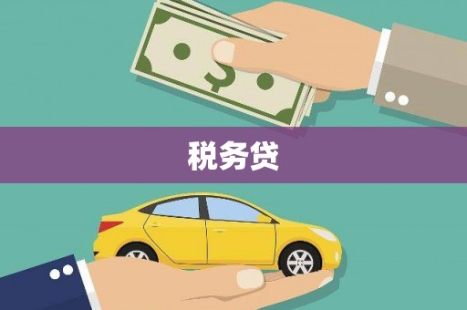 巴塘税务贷