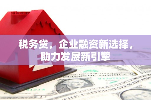 巴塘税务贷，企业融资新选择，助力发展新引擎