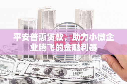 巴塘平安普惠贷款，助力小微企业腾飞的金融利器