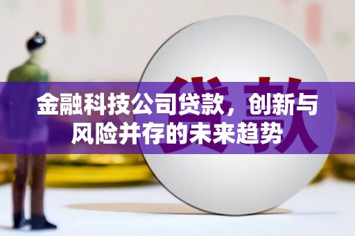巴塘金融科技公司贷款，创新与风险并存的未来趋势