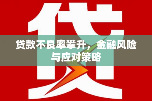 巴塘贷款不良率攀升，金融风险与应对策略