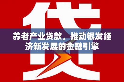 巴塘养老产业贷款，推动银发经济新发展的金融引擎