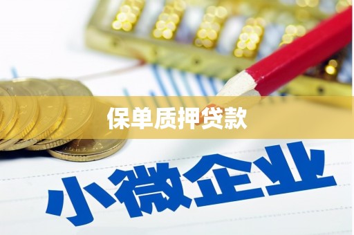巴塘保单质押贷款