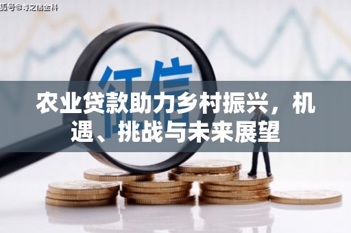 巴塘农业贷款助力乡村振兴，机遇、挑战与未来展望