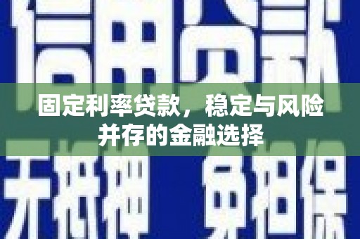 巴塘固定利率贷款，稳定与风险并存的金融选择