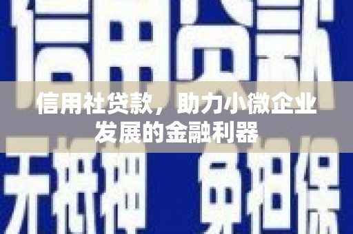 巴塘信用社贷款，助力小微企业发展的金融利器