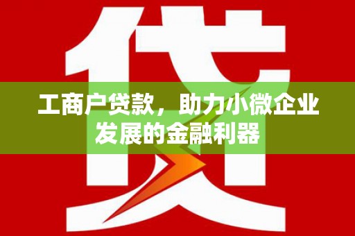 巴塘工商户贷款，助力小微企业发展的金融利器