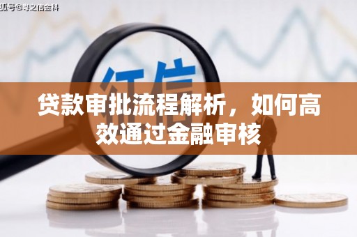 巴塘贷款审批流程解析，如何高效通过金融审核