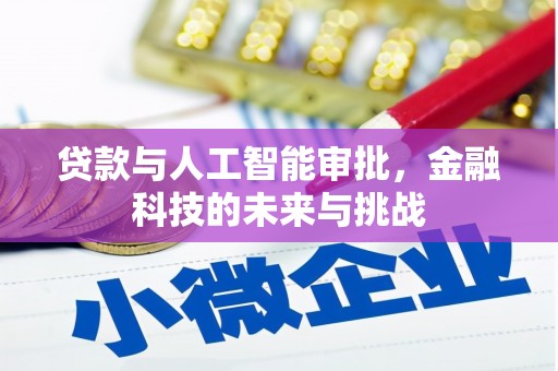 巴塘贷款与人工智能审批，金融科技的未来与挑战