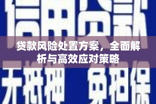 巴塘贷款风险处置方案，全面解析与高效应对策略