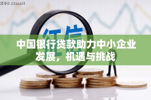 巴塘中国银行贷款助力中小企业发展，机遇与挑战