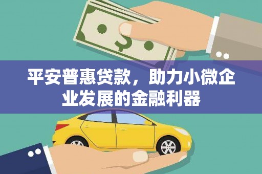 巴塘平安普惠贷款，助力小微企业发展的金融利器