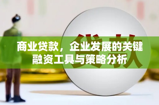 巴塘商业贷款，企业发展的关键融资工具与策略分析