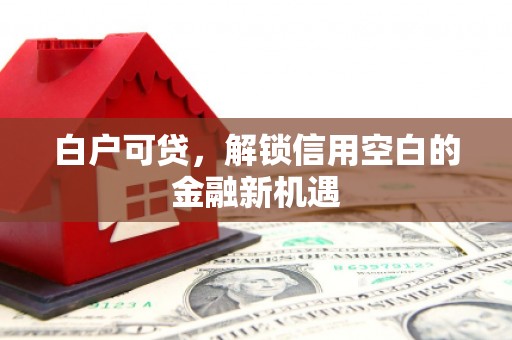 巴塘白户可贷，解锁信用空白的金融新机遇