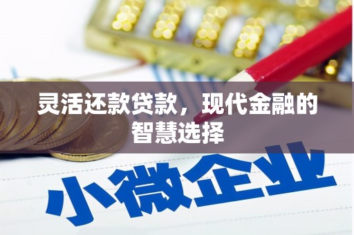 巴塘灵活还款贷款，现代金融的智慧选择