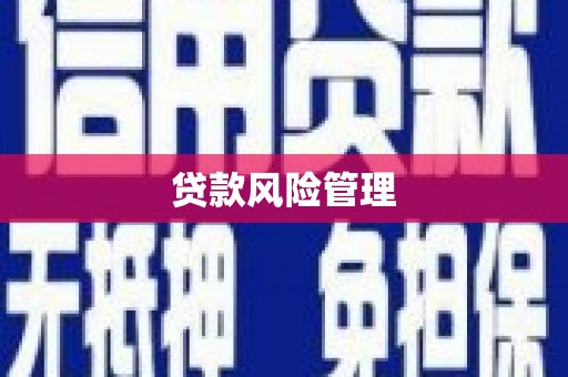 巴塘贷款风险管理