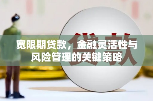 巴塘宽限期贷款，金融灵活性与风险管理的关键策略