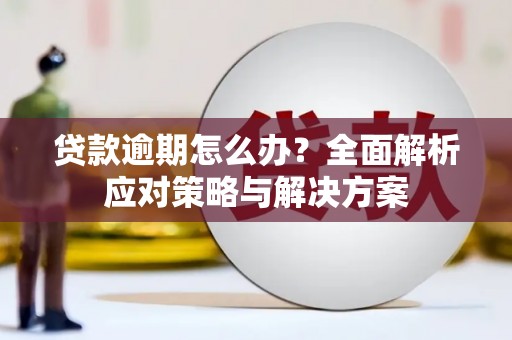 巴塘贷款逾期怎么办？全面解析应对策略与解决方案
