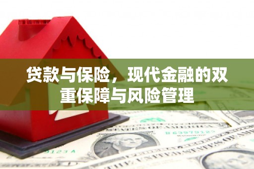 巴塘贷款与保险，现代金融的双重保障与风险管理