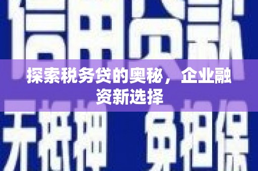 巴塘探索税务贷的奥秘，企业融资新选择