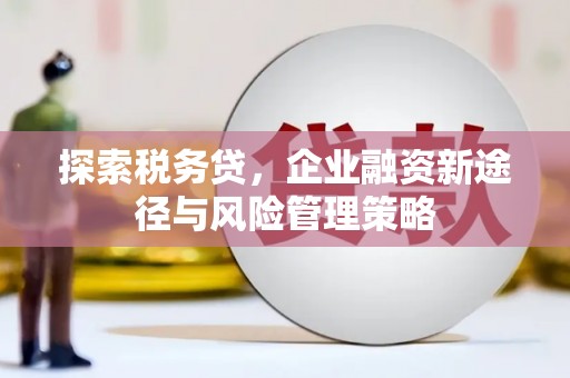 巴塘探索税务贷，企业融资新途径与风险管理策略
