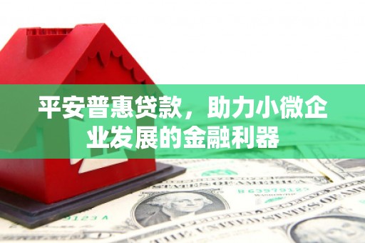 巴塘平安普惠贷款，助力小微企业发展的金融利器