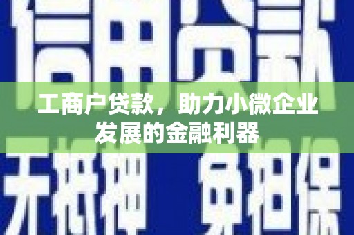 巴塘工商户贷款，助力小微企业发展的金融利器