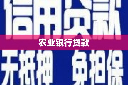 巴塘农业银行贷款