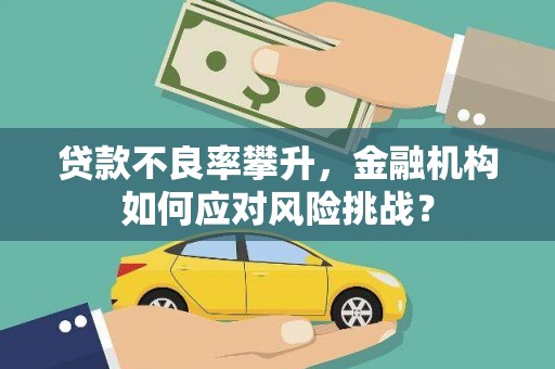 巴塘贷款不良率攀升，金融机构如何应对风险挑战？