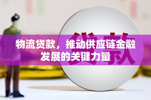 巴塘物流贷款，推动供应链金融发展的关键力量