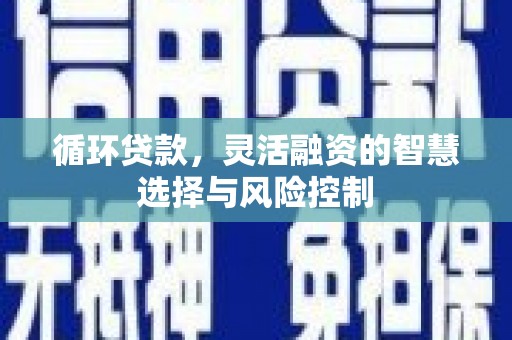 巴塘循环贷款，灵活融资的智慧选择与风险控制